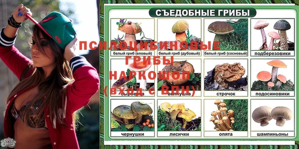 мдма Белокуриха