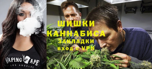 тгк Богданович